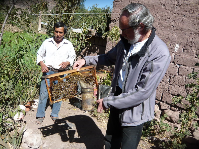 Volunteer and bee keeper